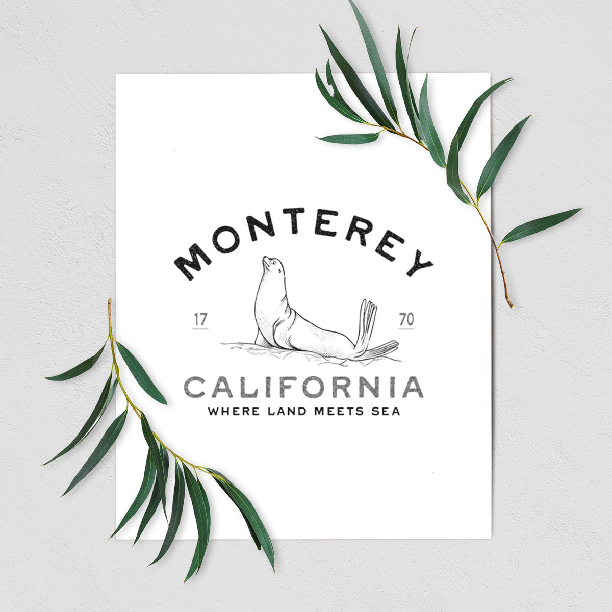 Art print of a black ink sea lion with the words Monterey California, 1770, Where Land Meets Sea, shown with eucalyptus leaves.