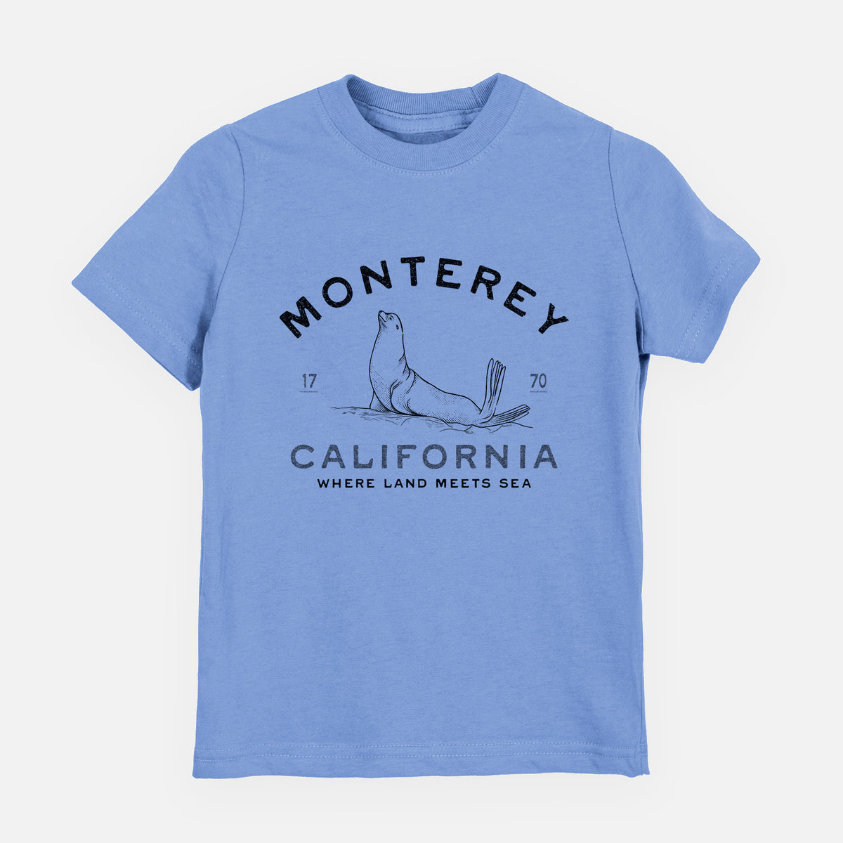 Carolina blue youth t-shirt laid flat, printed with a black ink sea lion with the words Monterey California, 1770, Where Land Meets Sea.