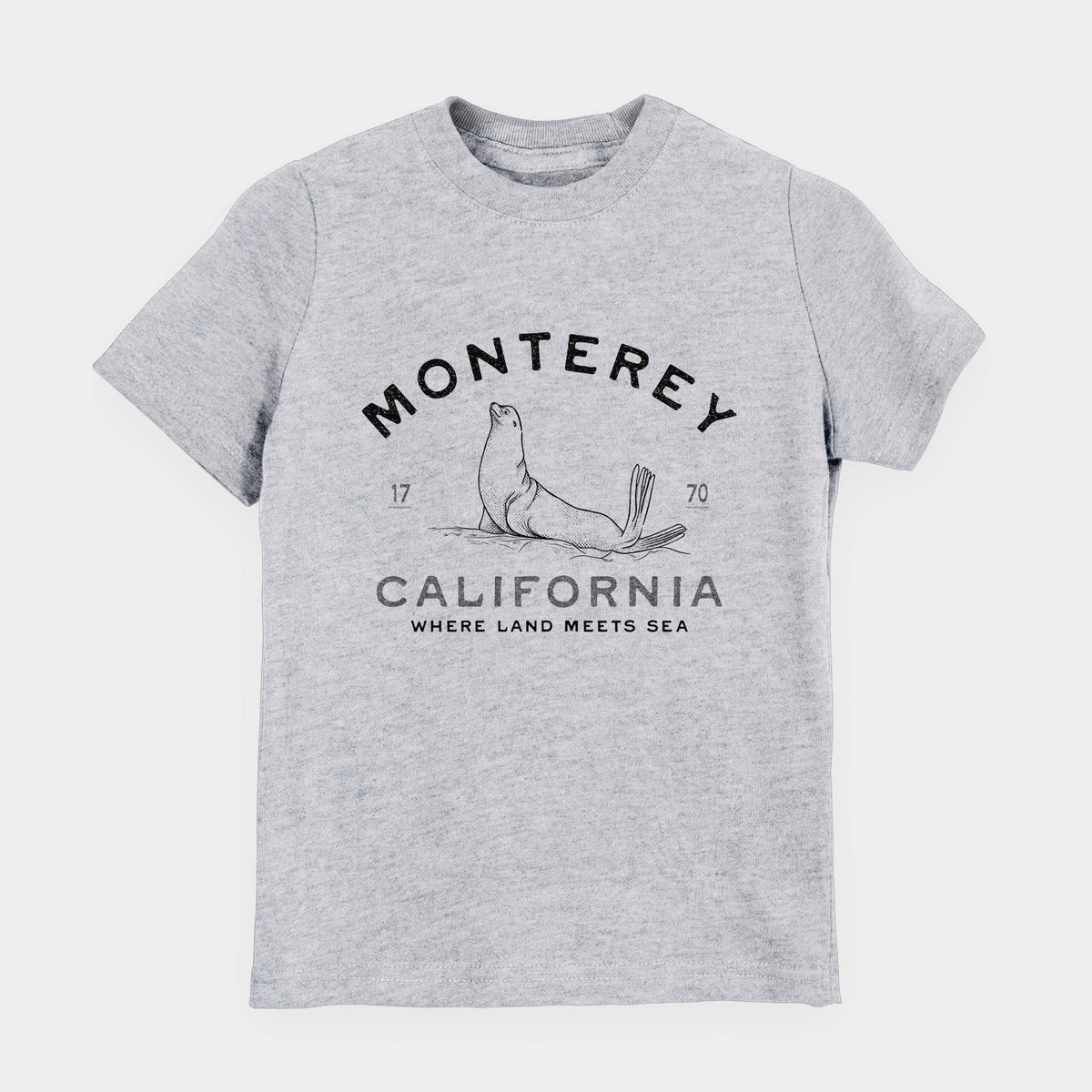 Heather grey youth t-shirt laid flat, printed with a black ink sea lion with the words Monterey California, 1770, Where Land Meets Sea.