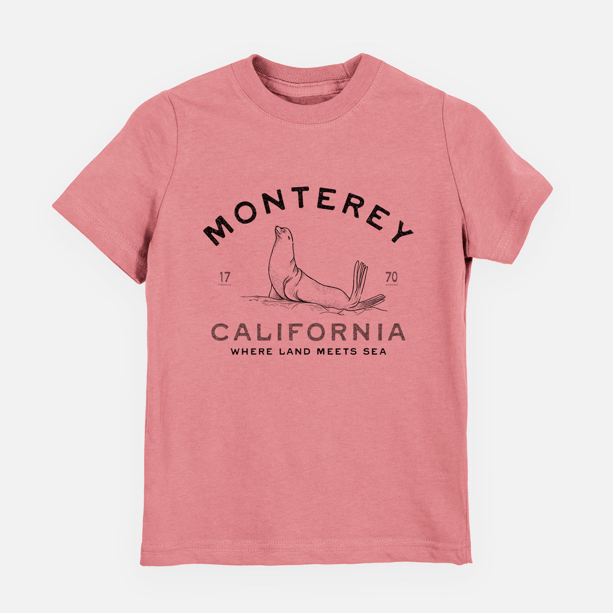 Mauve pink youth t-shirt laid flat, printed with a black ink sea lion with the words Monterey California, 1770, Where Land Meets Sea.