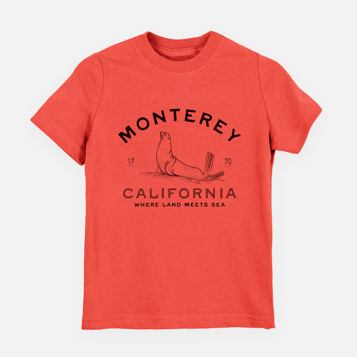 Passionfruit pink youth t-shirt laid flat, printed with a black ink sea lion with the words Monterey California, 1770, Where Land Meets Sea.