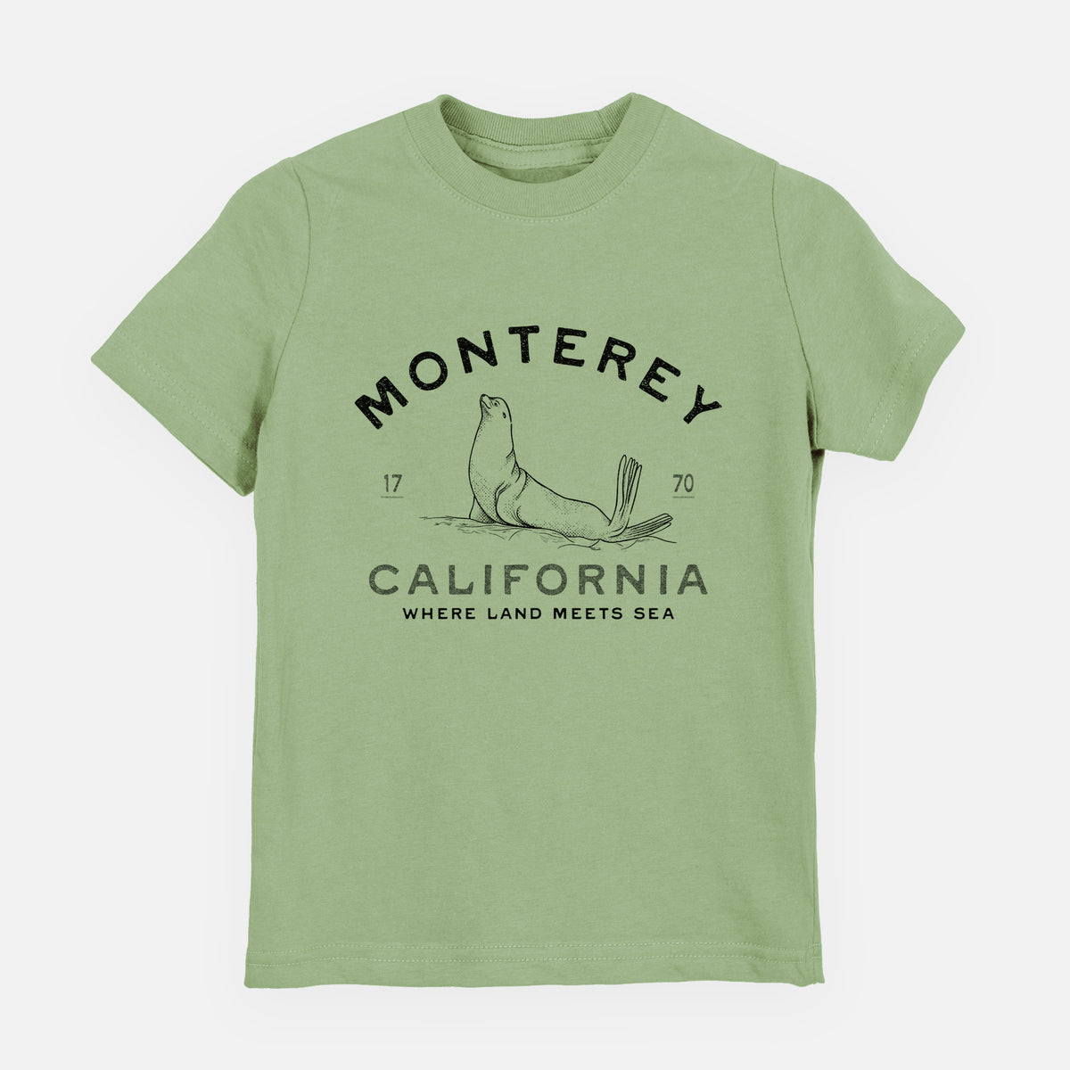 Sage green youth t-shirt laid flat, printed with a black ink sea lion with the words Monterey California, 1770, Where Land Meets Sea.