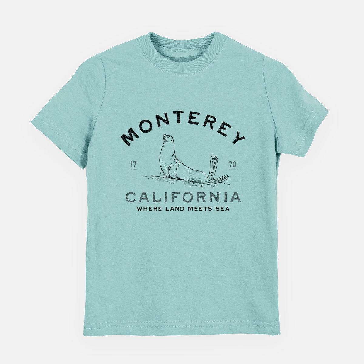 Saltwater youth t-shirt laid flat, printed with a black ink sea lion with the words Monterey California, 1770, Where Land Meets Sea.