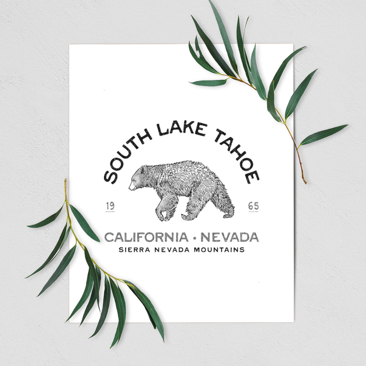 Art print of a black ink bear with the words South Lake Tahoe, California - Nevada, Sierra Nevada Mountains, shown with eucalyptus leaves.
