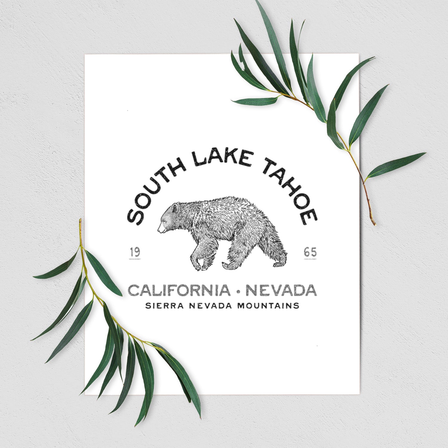 Art print of a black ink bear with the words South Lake Tahoe, California - Nevada, Sierra Nevada Mountains, shown with eucalyptus leaves.