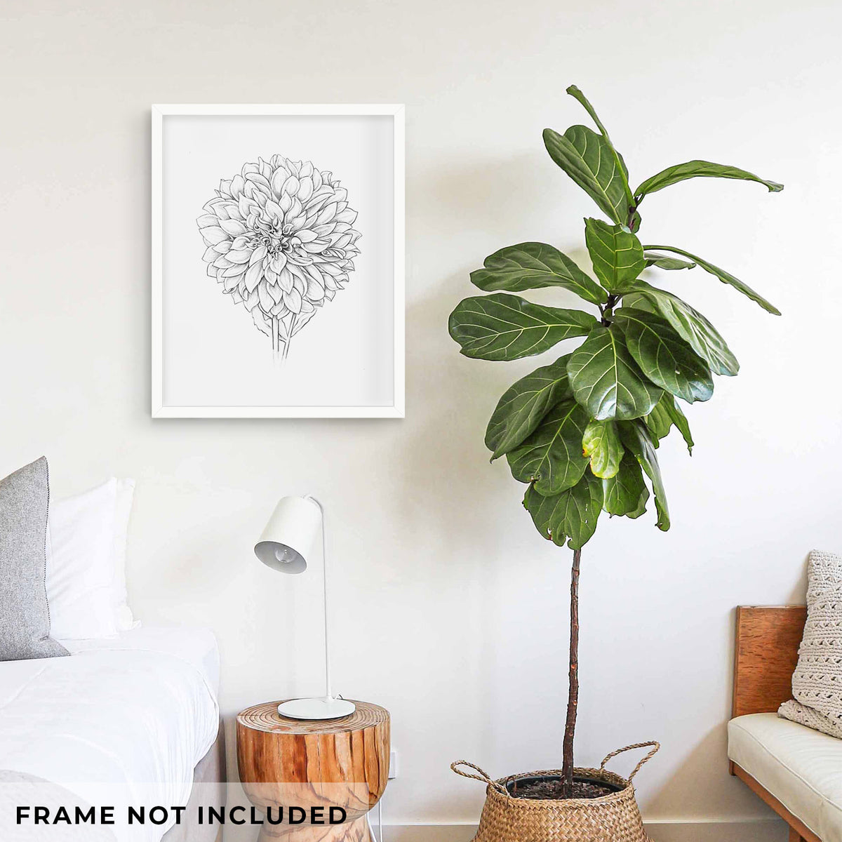 Art print of a detailed black ink line drawing of a Cafe au Lait dahlia bloom, shown framed on a living room wall beside a potted plant. Frame not included.