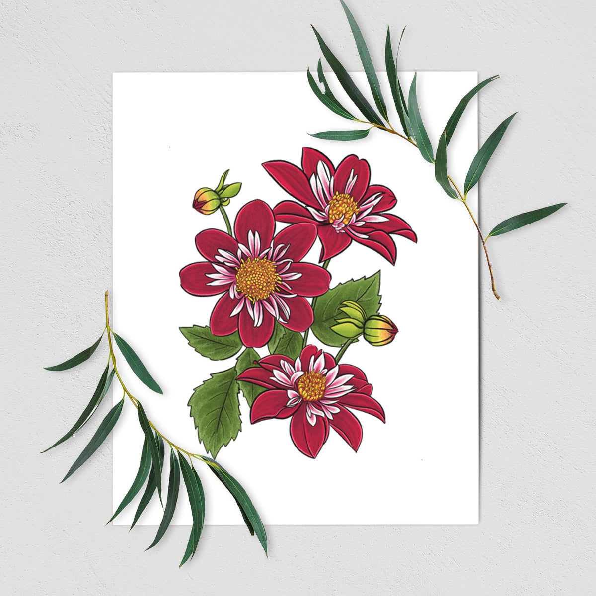 Art print of a full-color illustration of deep red dahlia flowers with green leaves and a small bee, shown with eucalyptus leaves.
