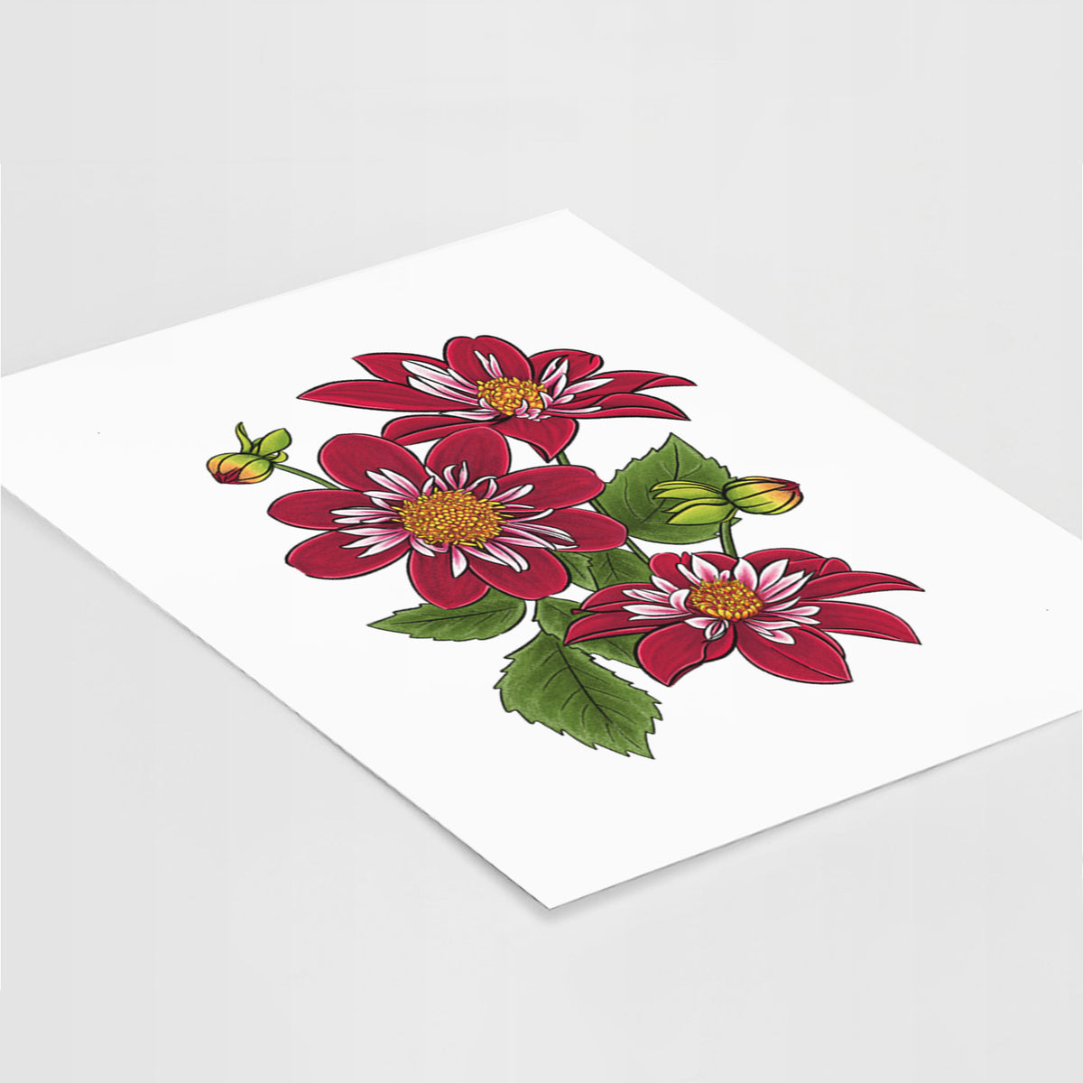 Art print of a full-color illustration of deep red dahlia flowers with green leaves and a small bee, lying at an angle on a white surface.