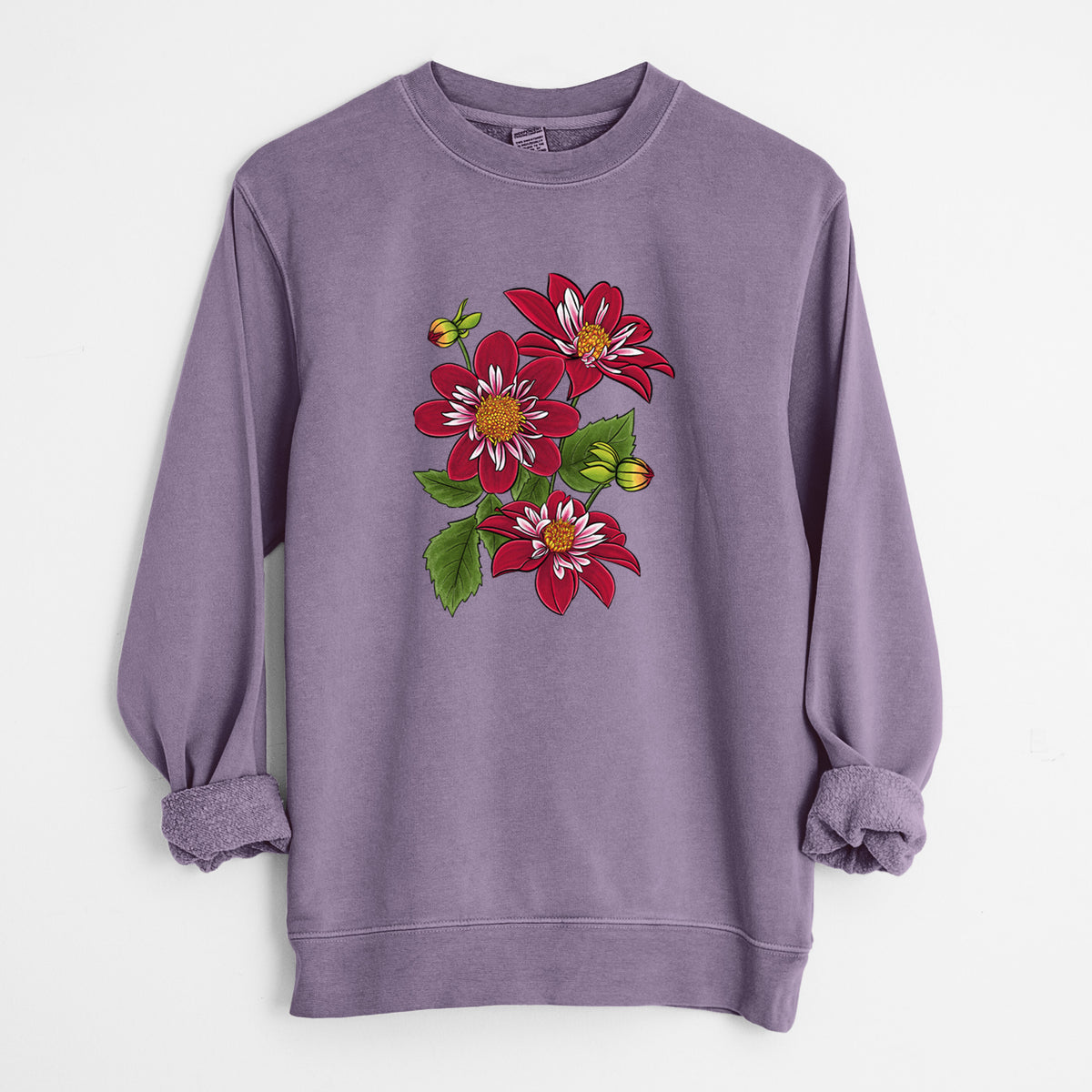 Plum purple pigment dyed crewneck sweatshirt laid flat with the sleeves rolled, printed with a full-color illustration of deep red dahlia flowers with green leaves and a small bee.