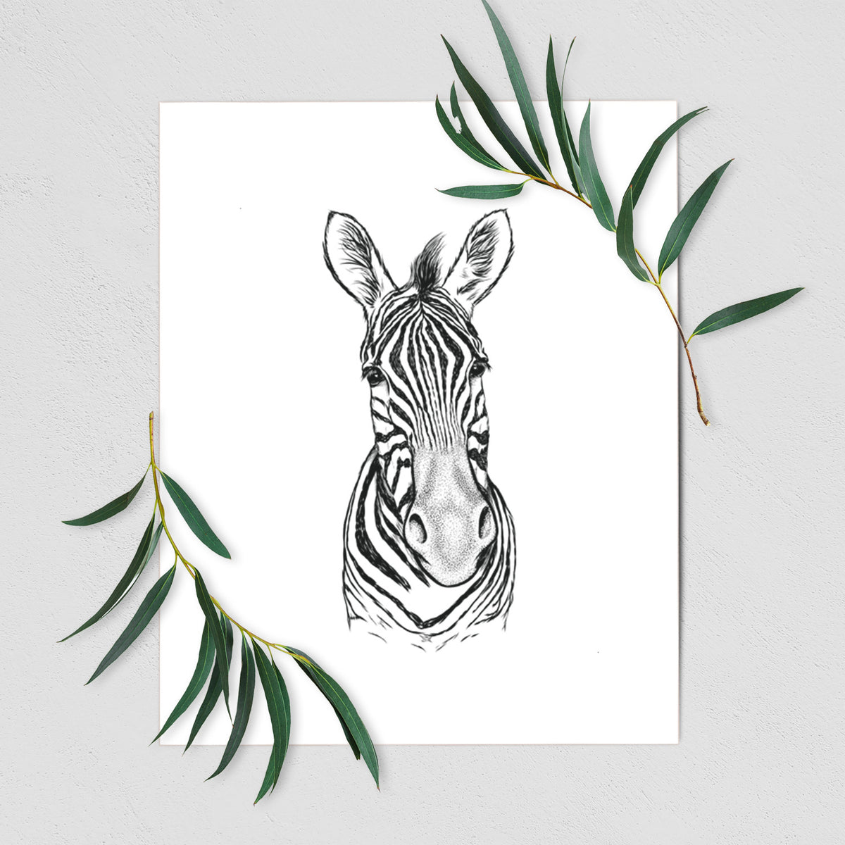 Art print of a detailed black ink portrait of a Damara zebra facing forward, shown with eucalyptus leaves.