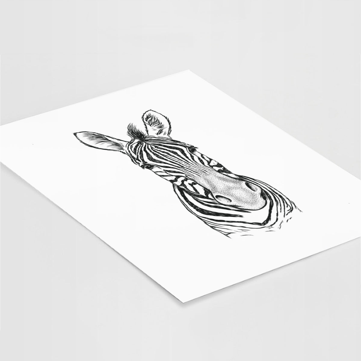 Art print of a detailed black ink portrait of a Damara zebra facing forward, lying at an angle on a white surface.