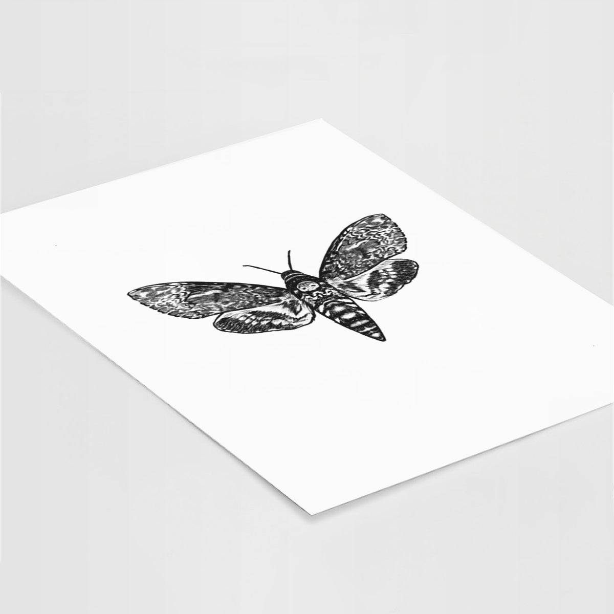 Art print of a detailed black ink illustration of a death's-head hawkmoth with its wings spread, lying at an angle on a white surface.