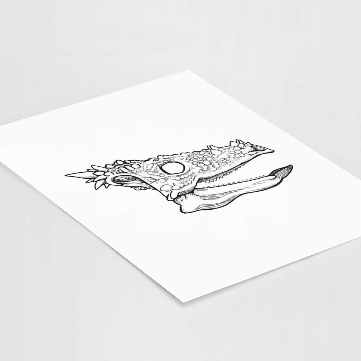 Art print of a black ink illustration of a spiky Dracorex dinosaur skull, lying at an angle on a white surface.