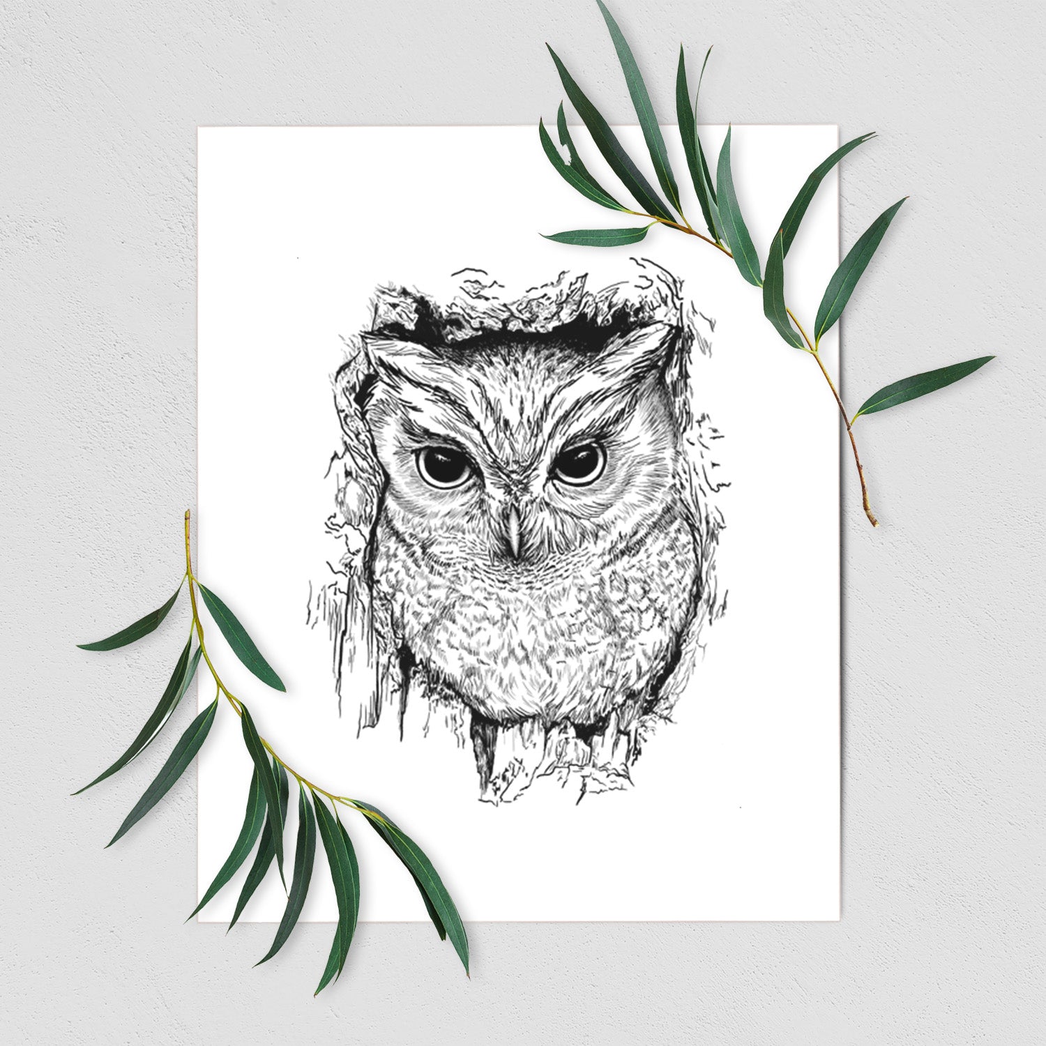 Art print of a detailed black ink portrait of an eastern screech owl with its ear tufts raised, shown with eucalyptus leaves.
