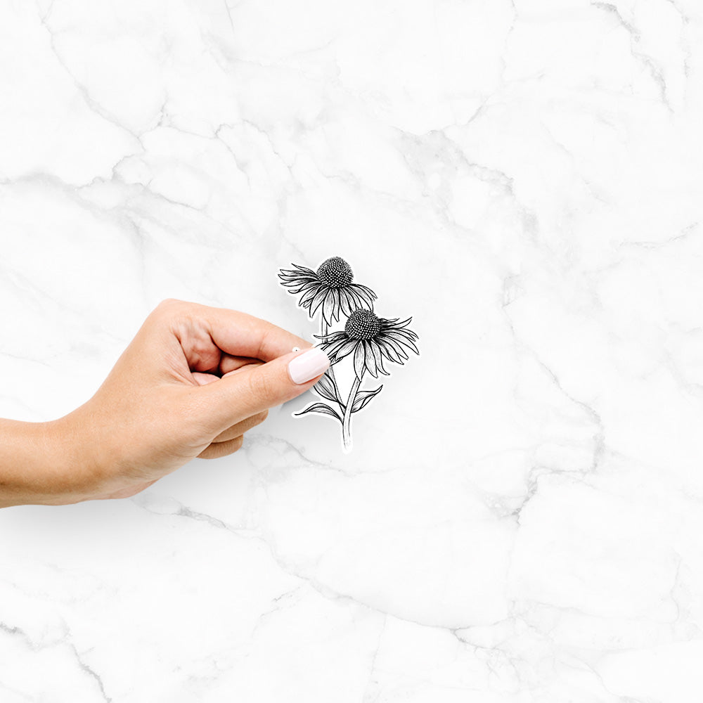Hand holding a 4 inch vinyl decal of a black ink line drawing of two coneflowers on tall stems.