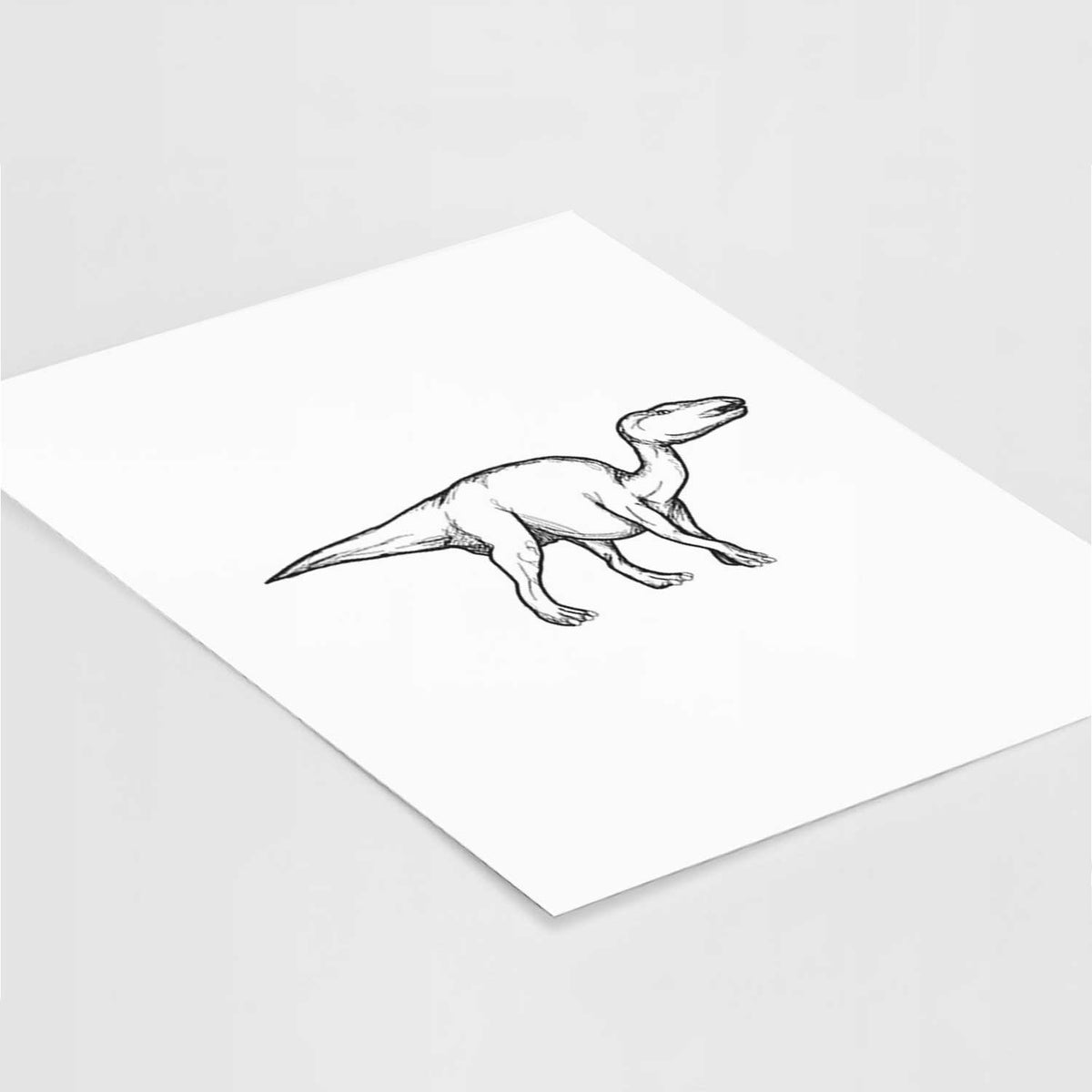 Art print of a black ink illustration of an Edmontosaurus walking, lying at an angle on a white surface.