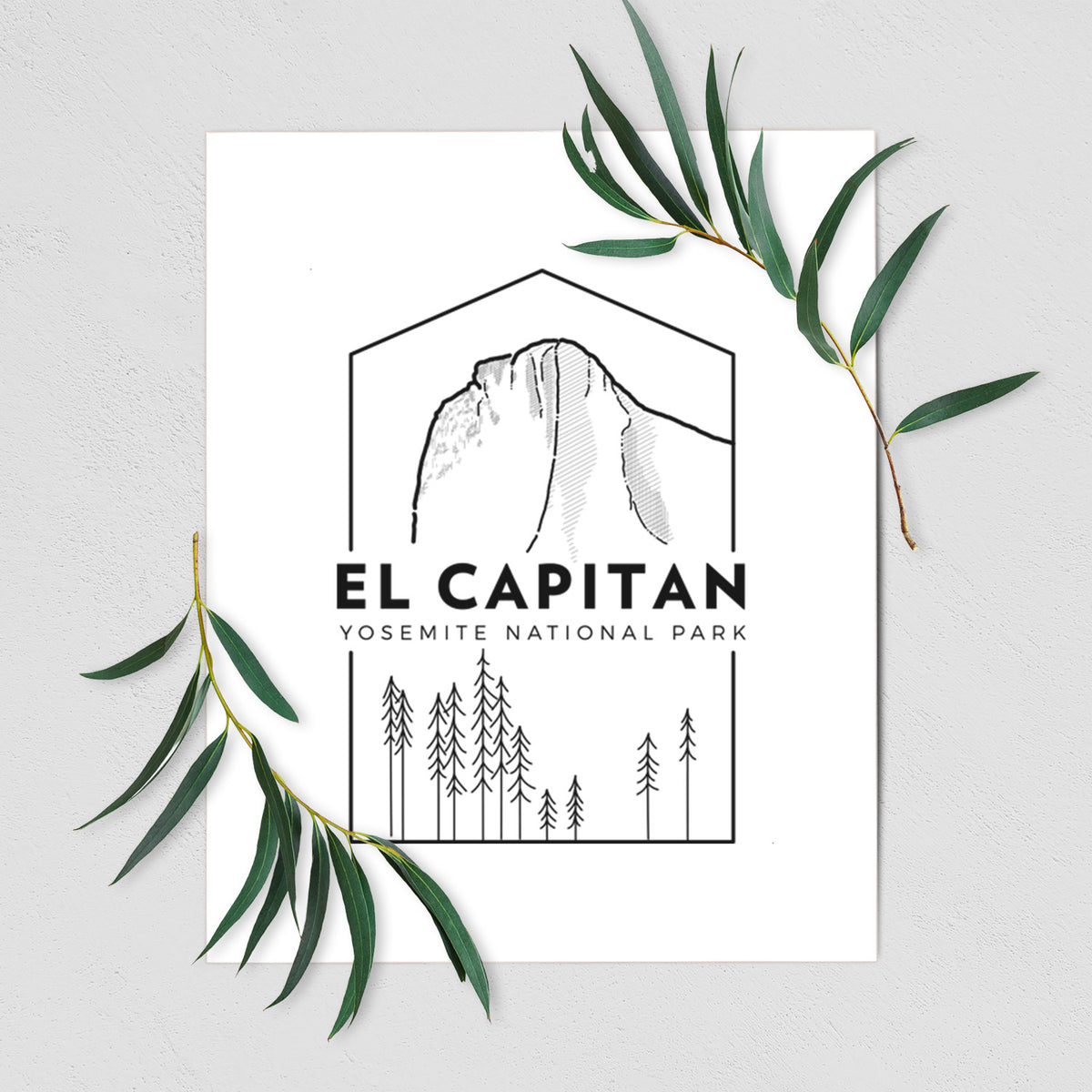Art print of a black line art badge of El Capitan rising above a pine forest, with the words El Capitan, Yosemite National Park, shown with eucalyptus leaves.