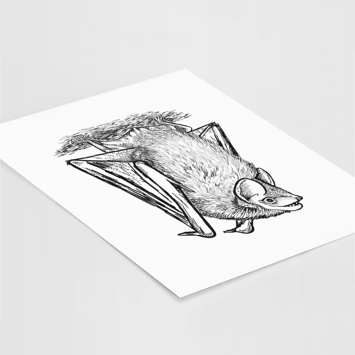 Art print of a detailed black ink illustration of a big brown bat hanging upside down, lying at an angle on a white surface.