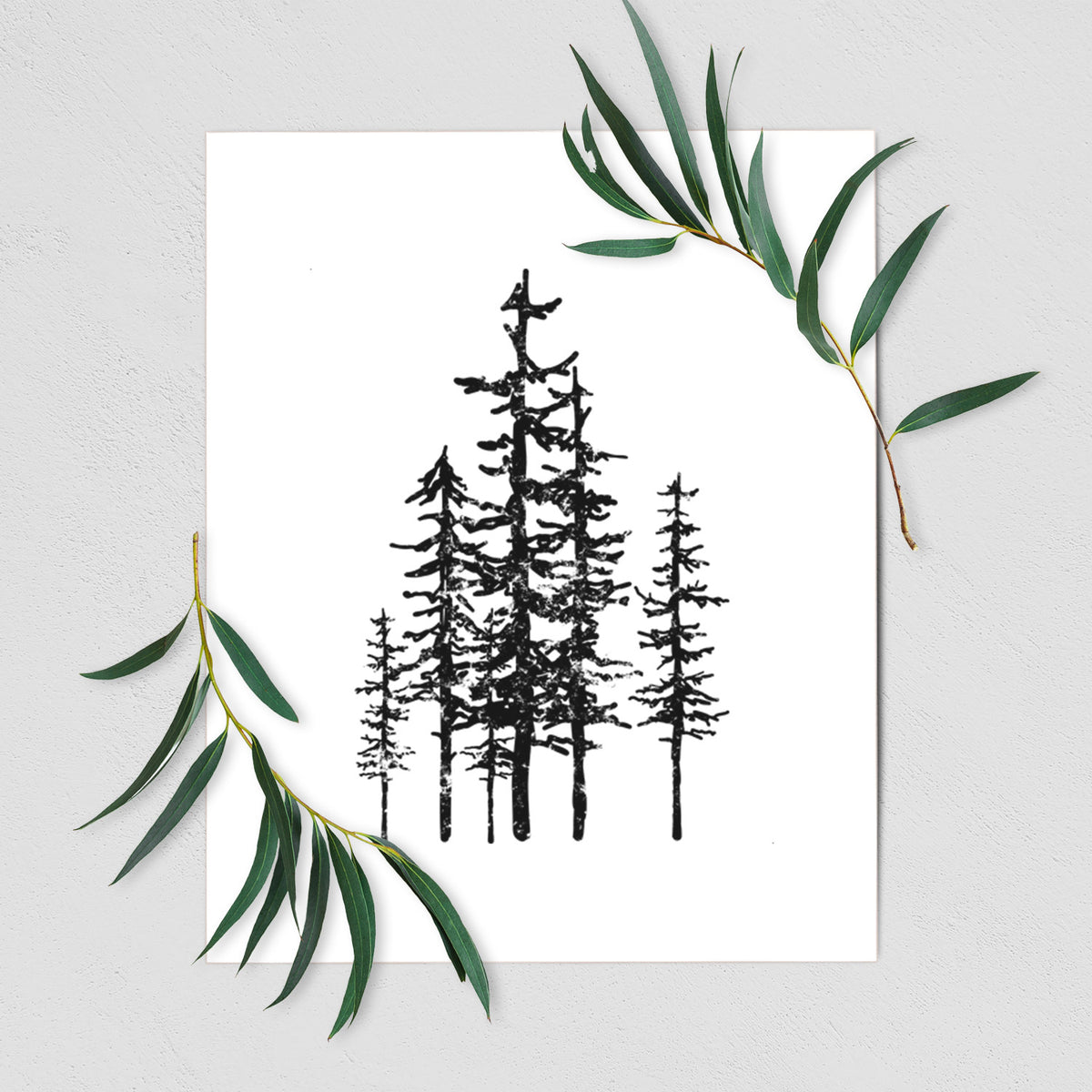 Art print of a black ink illustration of a cluster of evergreen trees of varying heights, shown with eucalyptus leaves.
