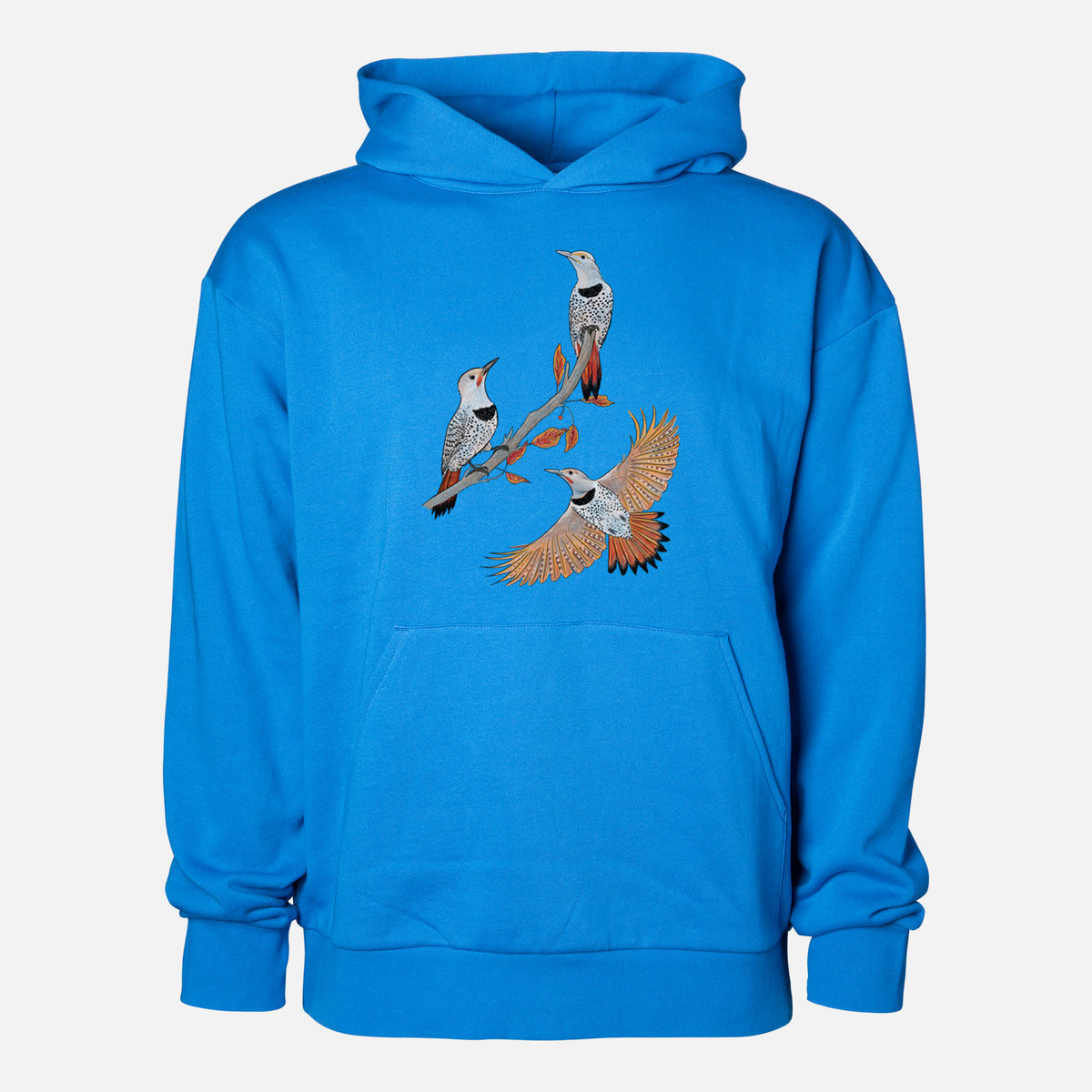 Northern Flickers (Red-shafted) - Colaptes auratus - Statement Midweight Hoodie in Azure Blue, shown from the front with the design printed on the chest above a front kangaroo pocket.
