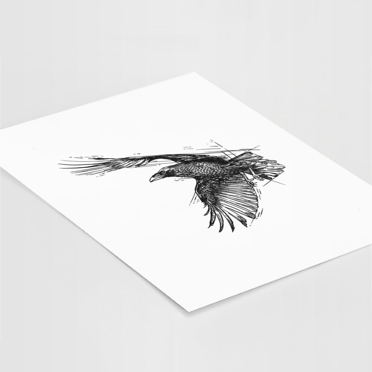 Art print of a black ink illustration of a raven in flight with its wings spread, lying at an angle on a white surface.