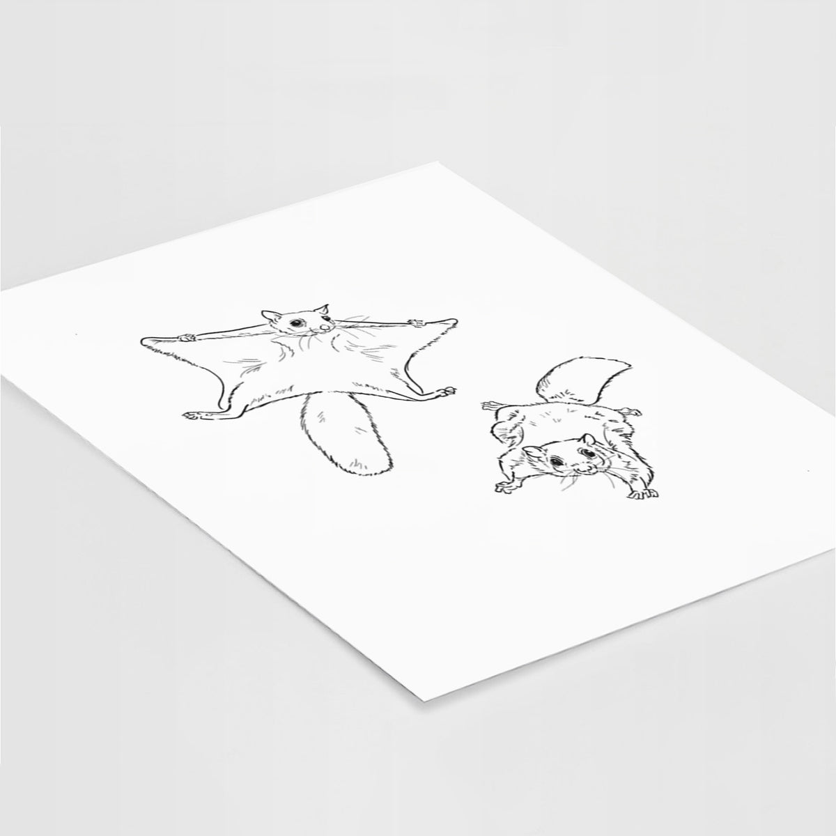 Art print of a black ink illustration of two flying squirrels gliding with their skin flaps spread, lying at an angle on a white surface.