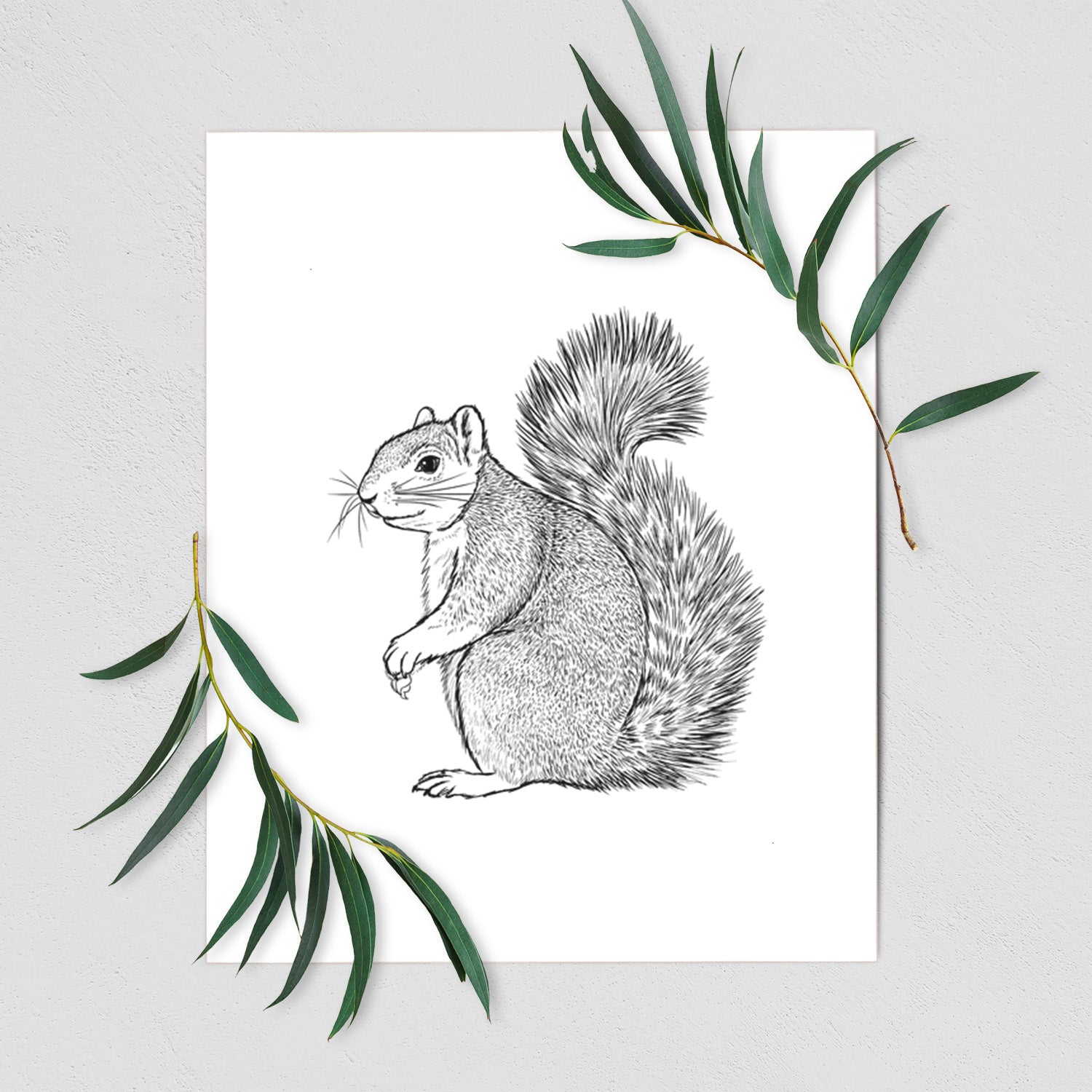 Art print of a detailed black ink illustration of a fox squirrel sitting with a bushy tail, shown with eucalyptus leaves.
