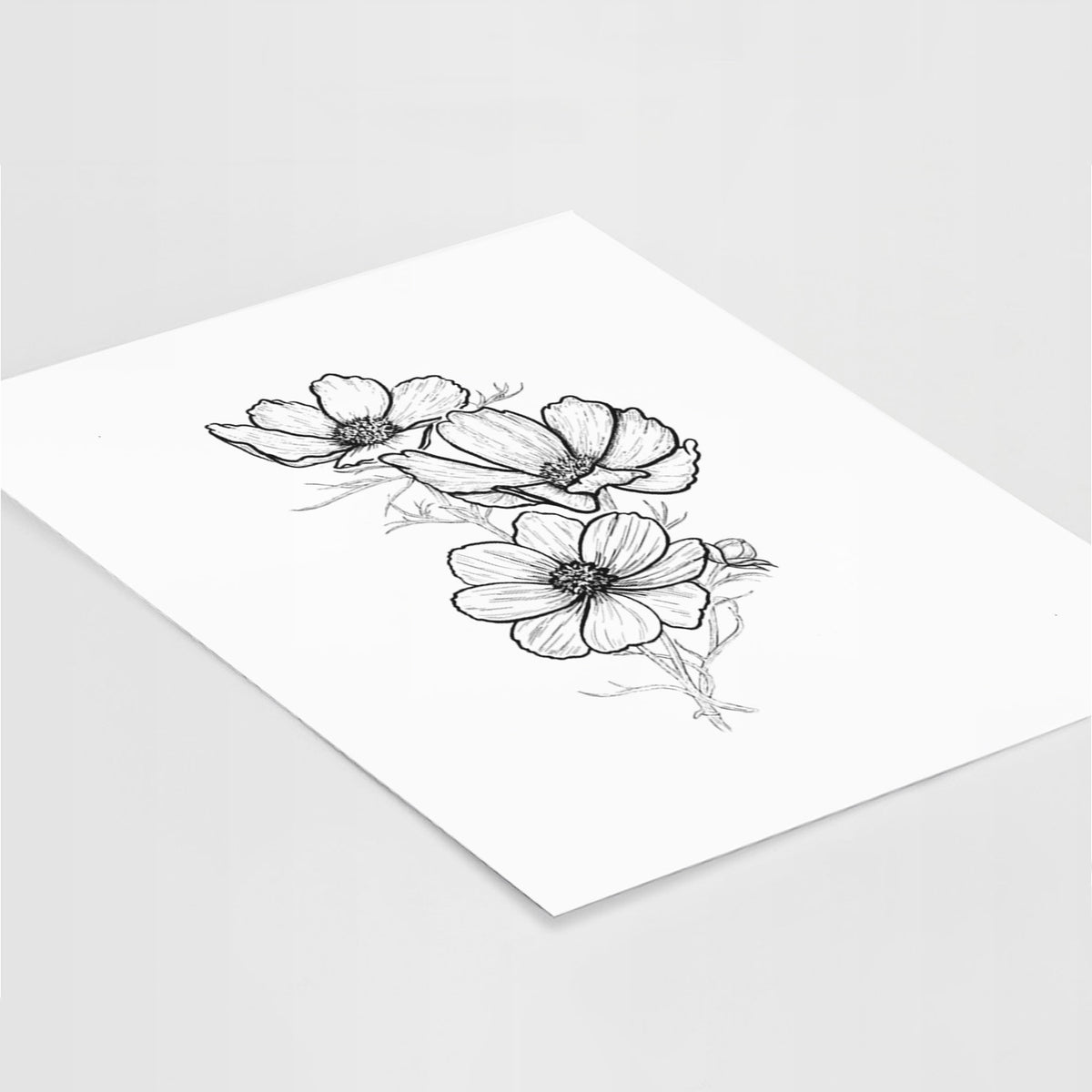 Art print of a black ink line drawing of garden cosmos flowers on stems, lying at an angle on a white surface.