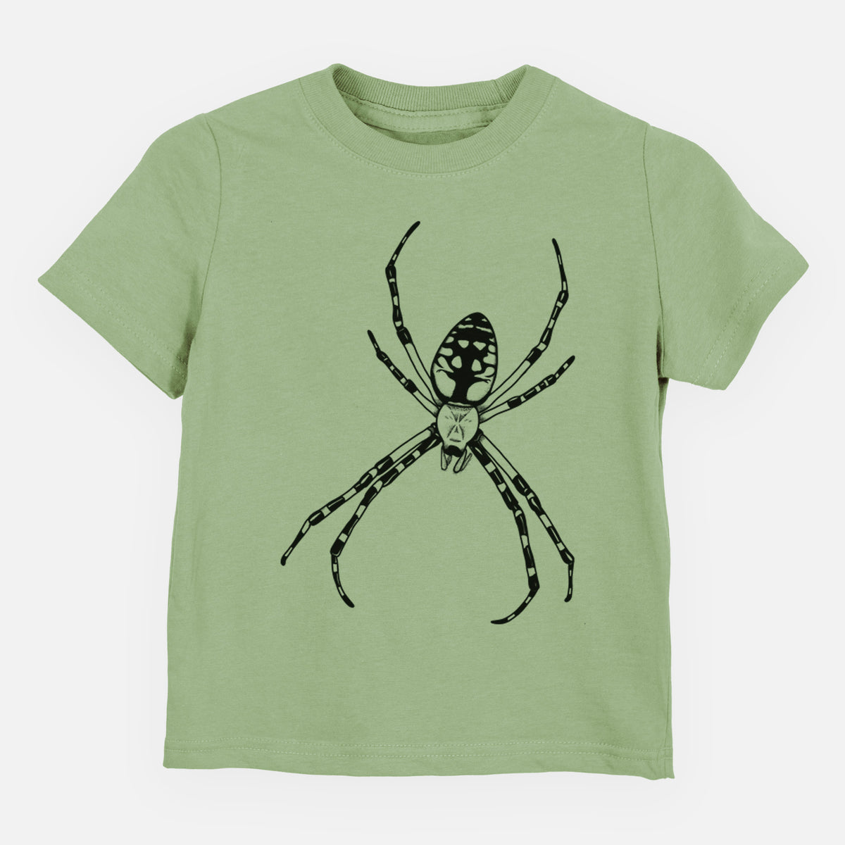 Sage green toddler t-shirt laid flat, printed with a detailed black ink illustration of a garden spider with long striped legs.