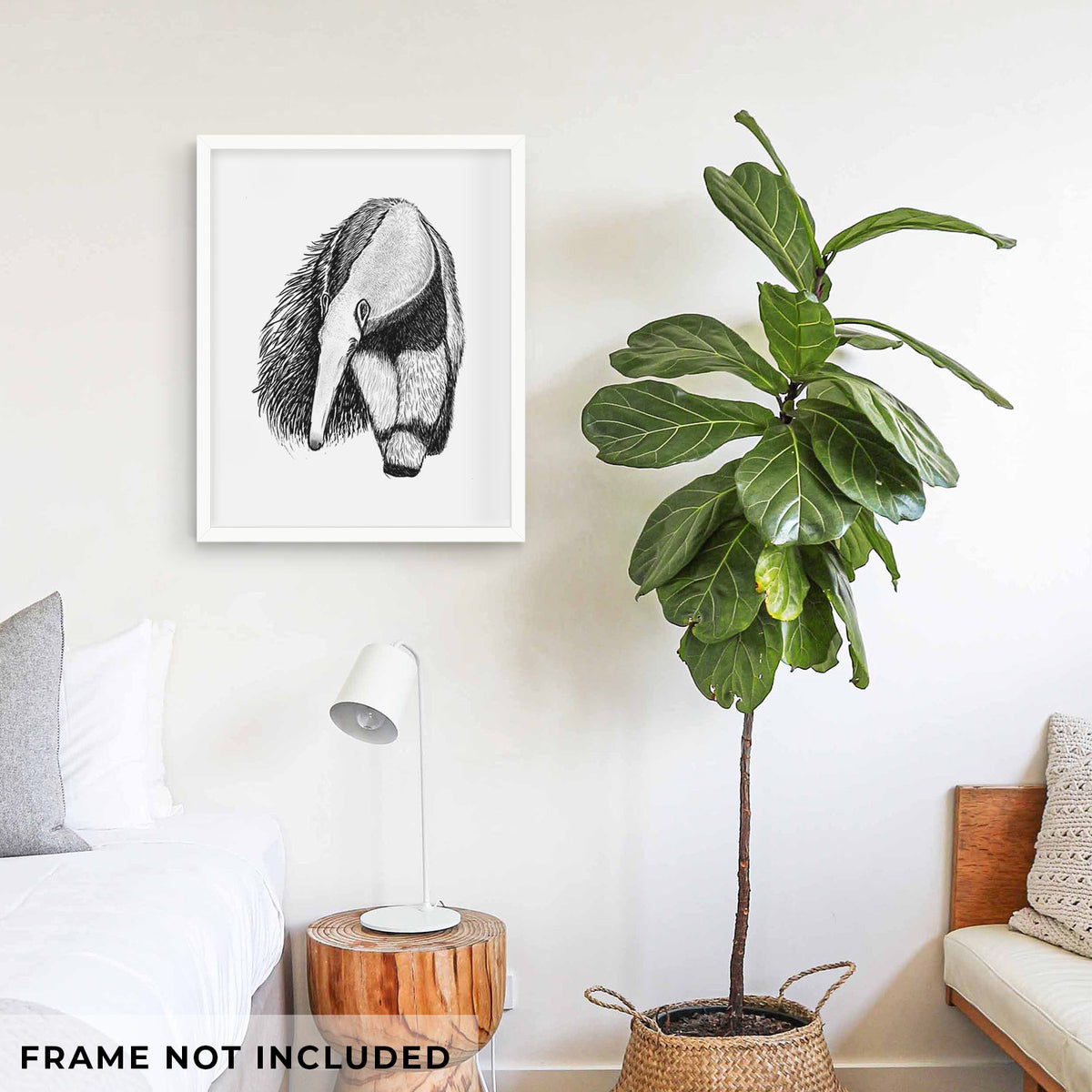 Art print of a detailed black ink illustration of a giant anteater with its long snout and bushy tail, shown framed on a living room wall beside a potted plant. Frame not included.