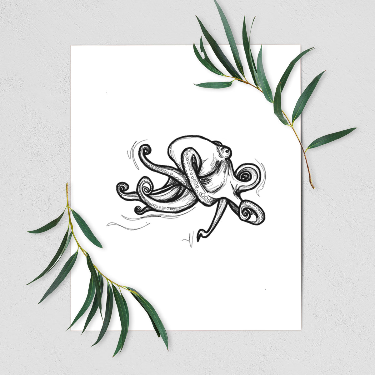 Art print of a black ink illustration of a giant Pacific octopus with curling tentacles, shown with eucalyptus leaves.