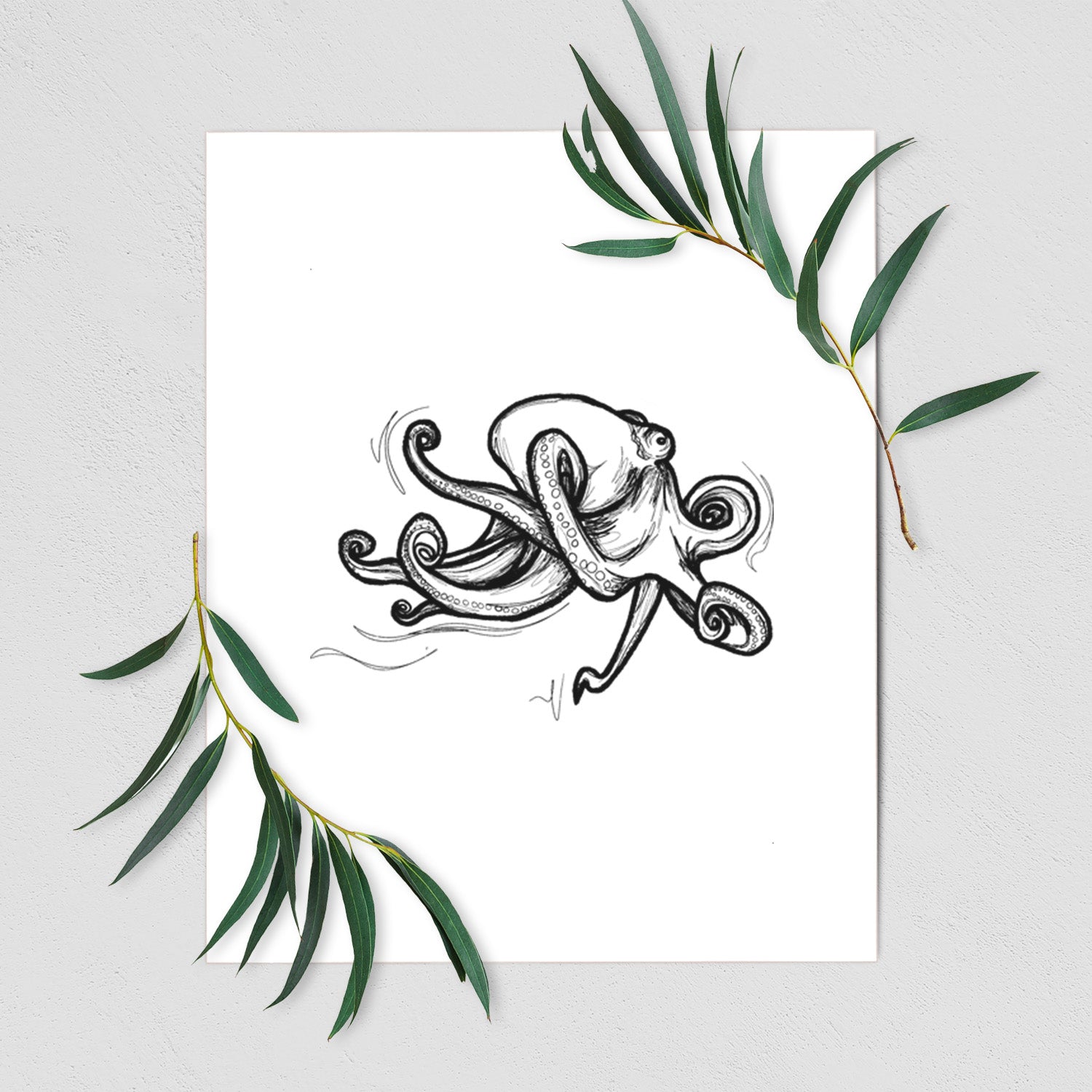 Art print of a black ink illustration of a giant Pacific octopus with curling tentacles, shown with eucalyptus leaves.