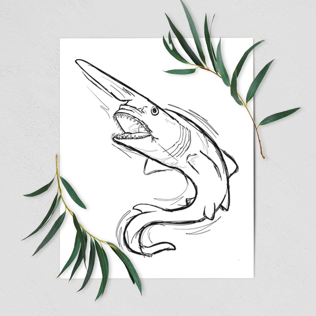 Art print of a black ink illustration of a goblin shark with its long snout, swimming in a curve, shown with eucalyptus leaves.