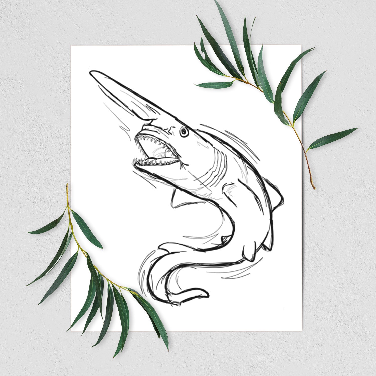 Art print of a black ink illustration of a goblin shark with its long snout, swimming in a curve, shown with eucalyptus leaves.