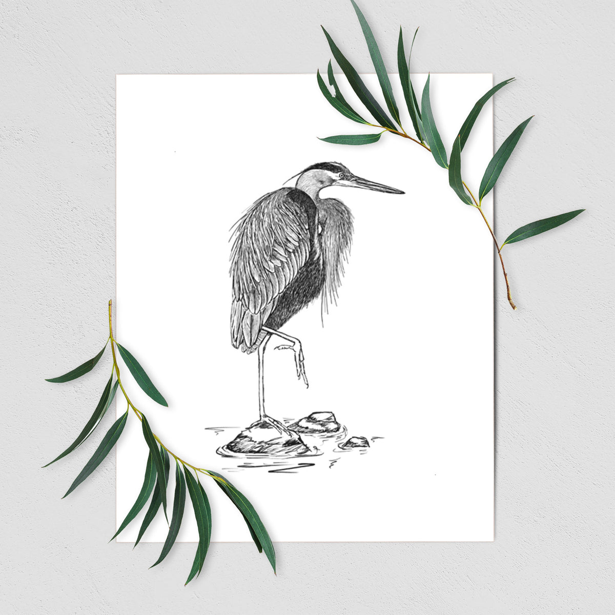 Art print of a detailed black ink illustration of a great blue heron standing on rocks, shown with eucalyptus leaves.