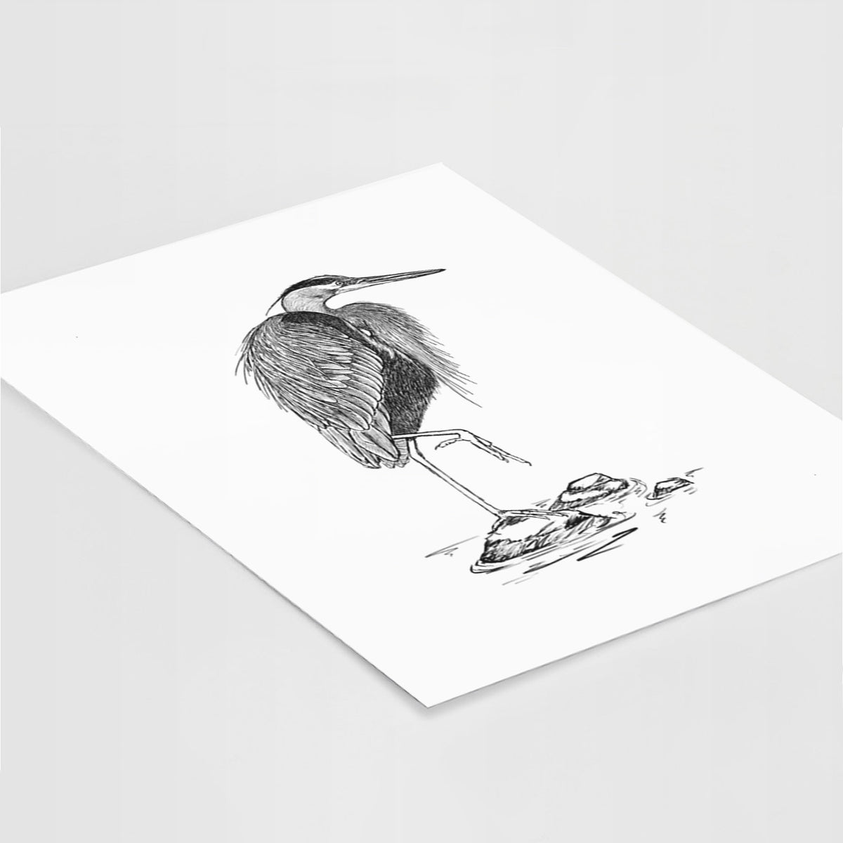 Art print of a detailed black ink illustration of a great blue heron standing on rocks, lying at an angle on a white surface.