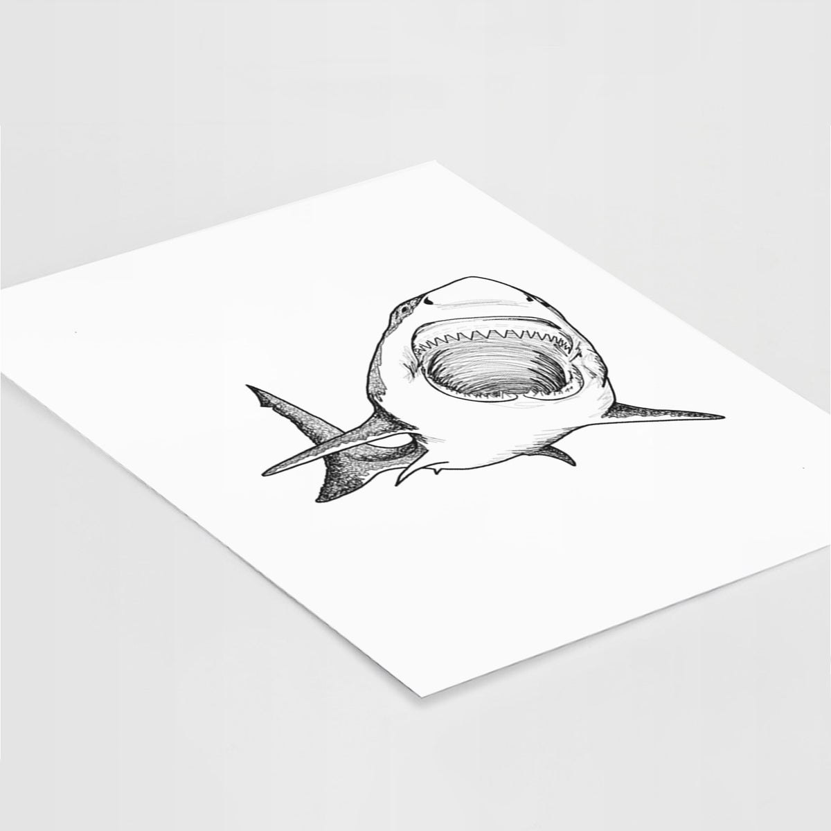 Art print of a black ink illustration of a great white shark swimming toward the viewer with its mouth open, lying at an angle on a white surface.