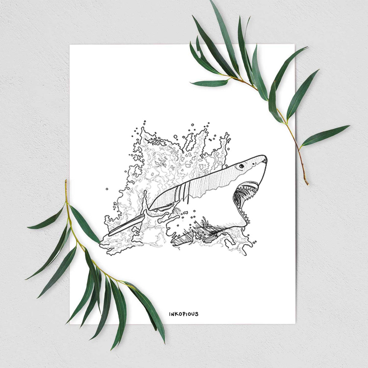 Art print of a black ink illustration of a great white shark breaking through a splash of water, shown with eucalyptus leaves.