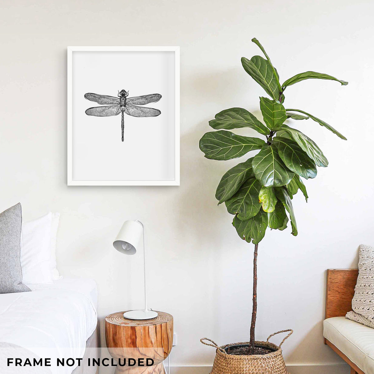 Art print of a detailed black ink illustration of a green darner dragonfly with its wings spread, seen from above, shown framed on a living room wall beside a potted plant. Frame not included.