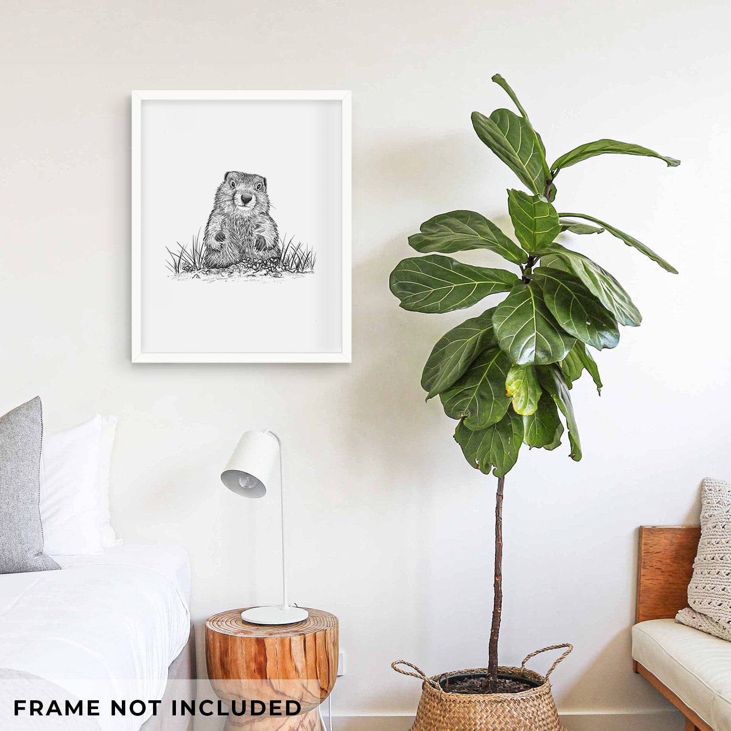 Art print of a black ink illustration of a groundhog peeking out of its burrow among grass, shown with eucalyptus leaves.