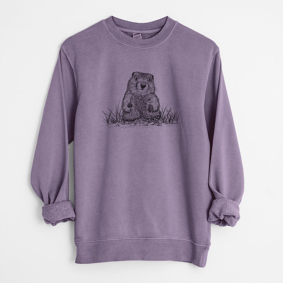Groundhog - Marmota Monax - Unisex Pigment Dyed Crew Sweatshirt in Plum