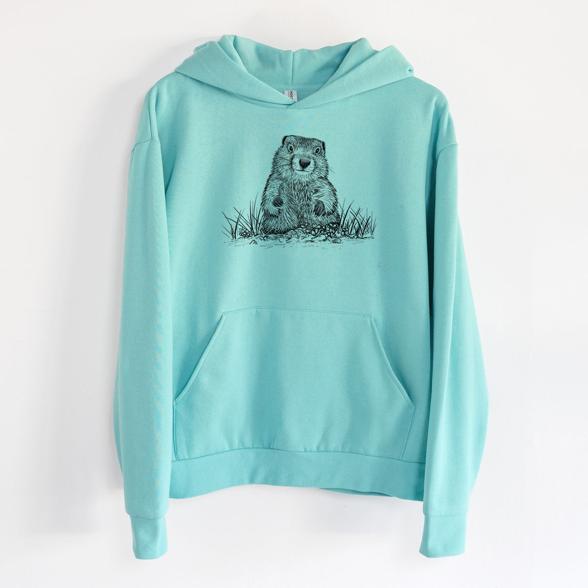 Groundhog - Marmota Monax - Statement Midweight Hoodie in Seafoam, hanging on a white wall, with a front kangaroo pocket and no drawcords.