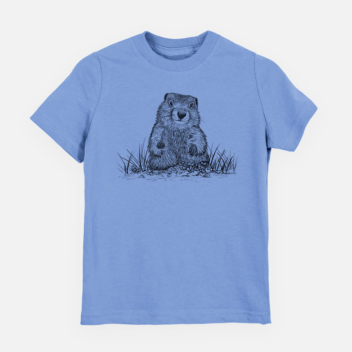Carolina blue youth t-shirt laid flat, printed with a black ink illustration of a groundhog peeking out of its burrow among grass.