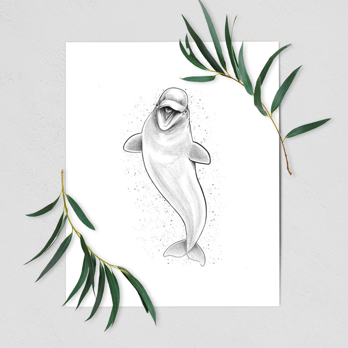 Art print of a black ink illustration of a smiling beluga whale swimming upward, shown with eucalyptus leaves.