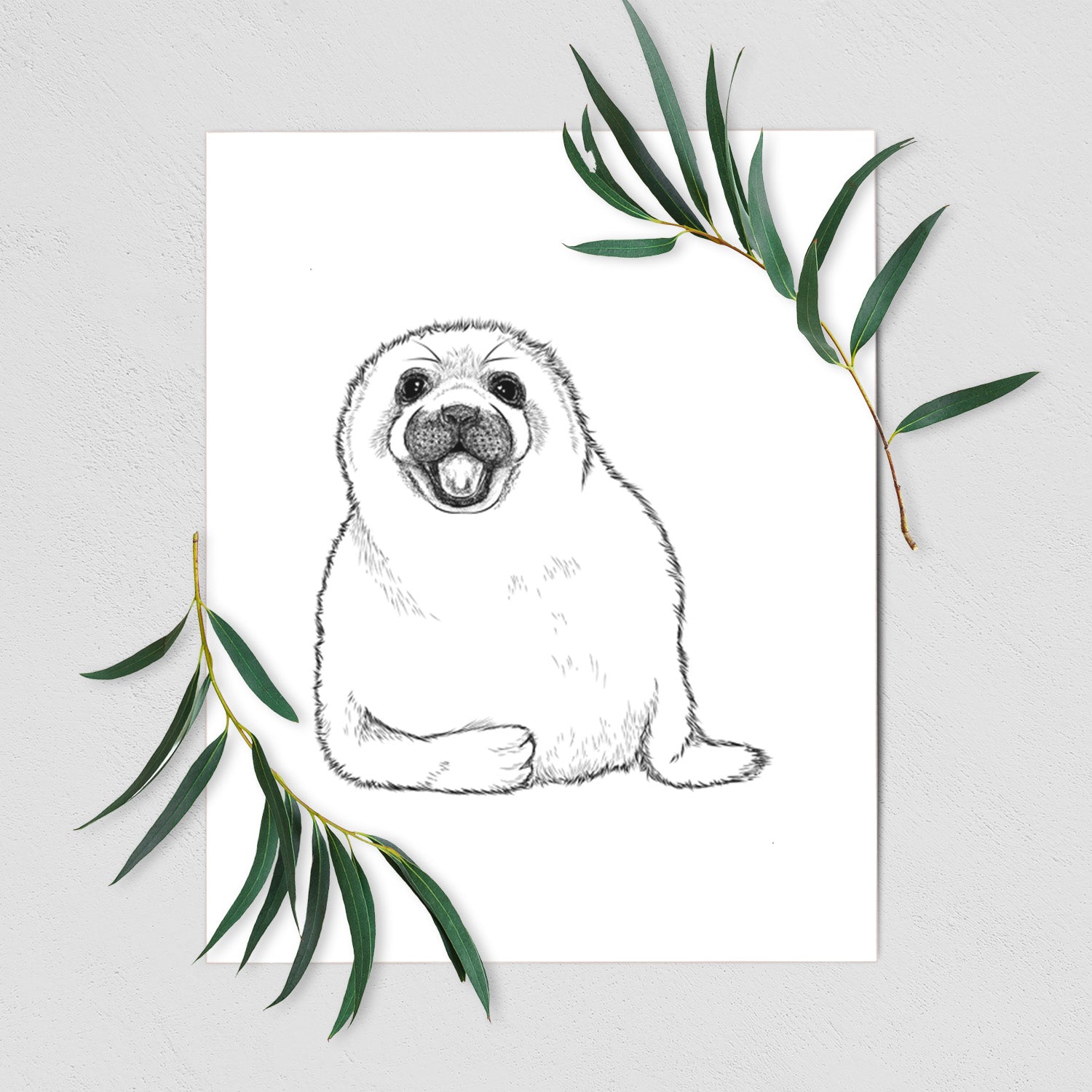 Art print of a black ink illustration of a smiling harp seal pup lying down, shown with eucalyptus leaves.