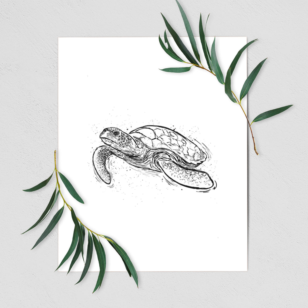 Art print of a black ink illustration of a hawksbill sea turtle swimming, with a patterned shell, shown with eucalyptus leaves.