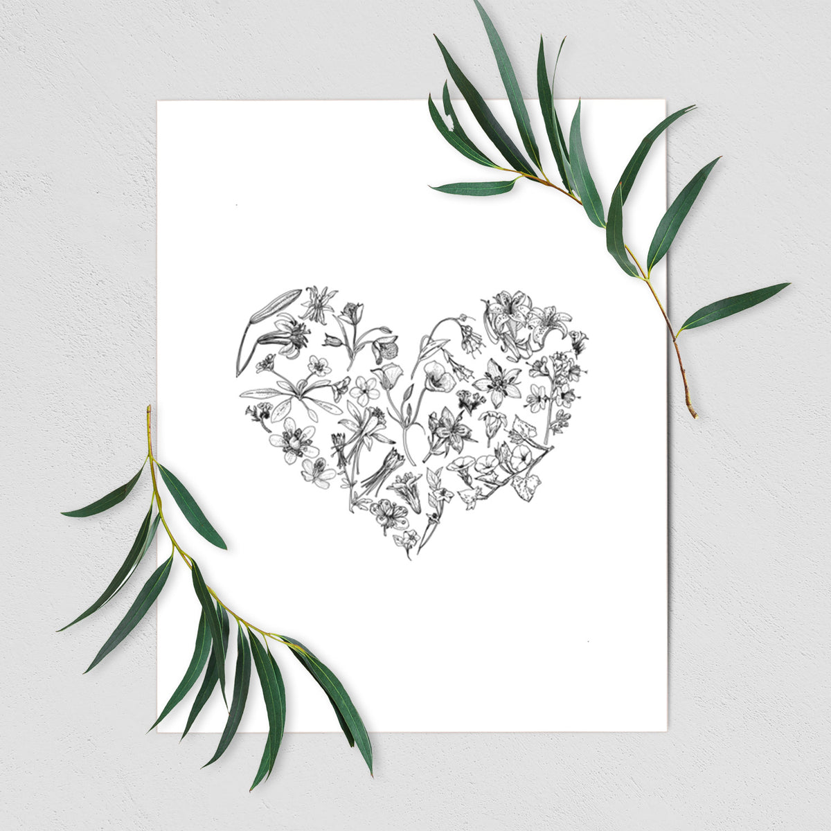 Art print of a heart shape filled with black ink California mountain wildflowers, shown with eucalyptus leaves.
