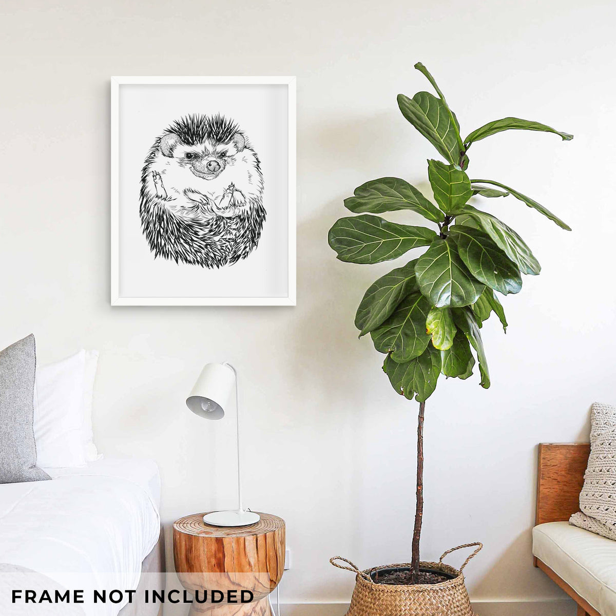 Art print of a detailed black ink illustration of a hedgehog curled up and facing forward, shown framed on a living room wall beside a potted plant. Frame not included.