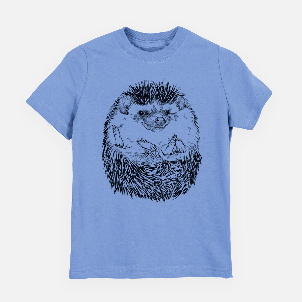 Carolina blue youth t-shirt laid flat, printed with a detailed black ink illustration of a hedgehog curled up and facing forward.