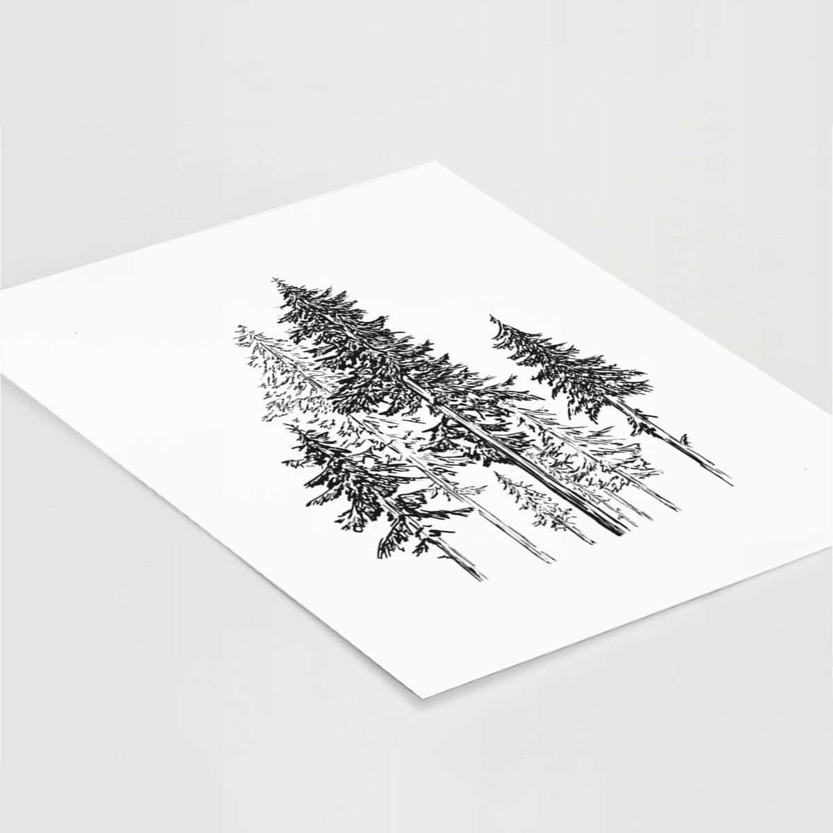 Art print of a black ink illustration of a forest of tall hemlock trees, lying at an angle on a white surface.